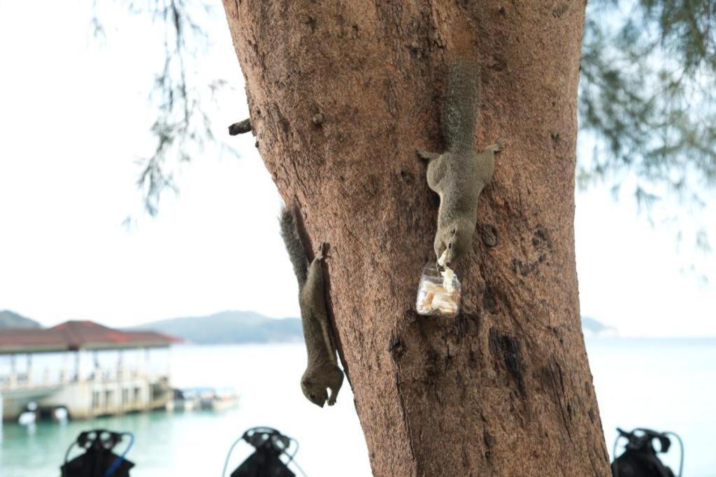 Perhentian Island Resort Exterior foto