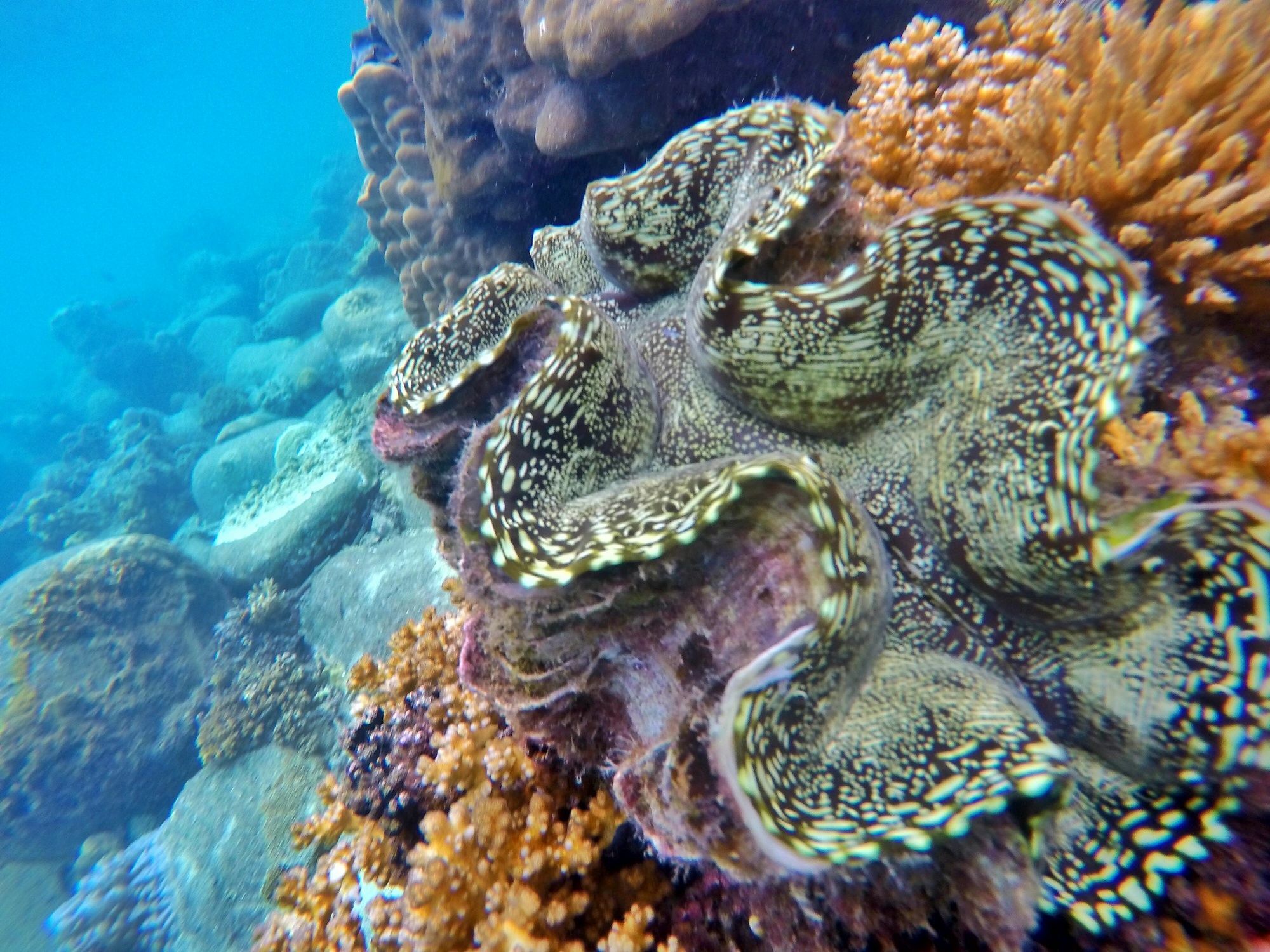 Perhentian Island Resort Exterior foto